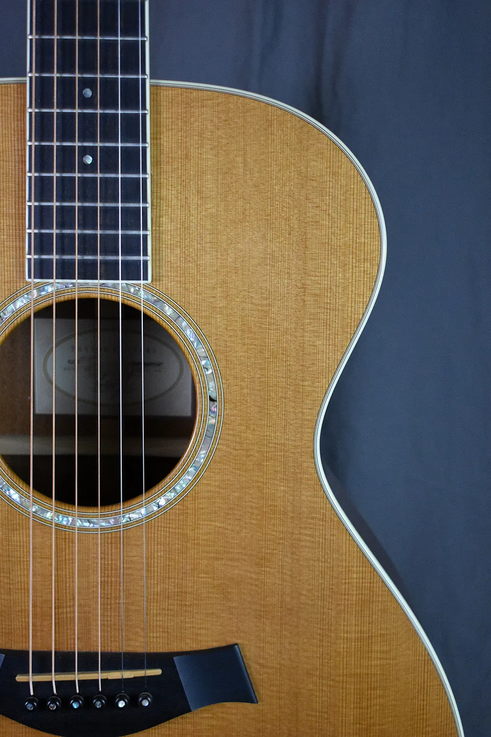 2007 Taylor GC5