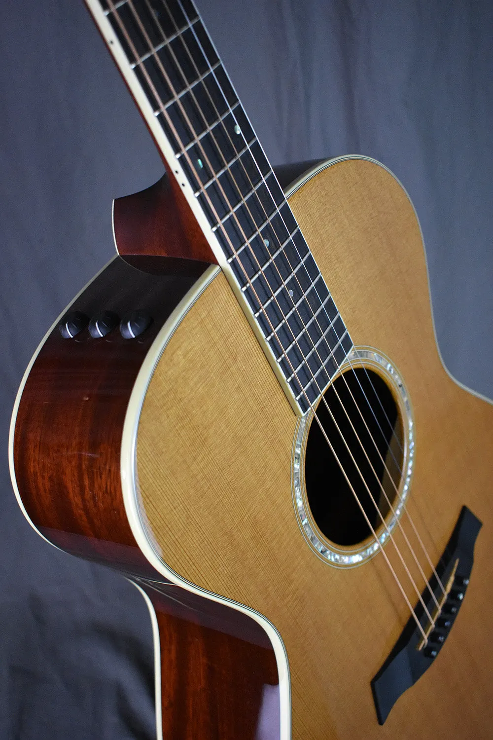 2007 Taylor GC5