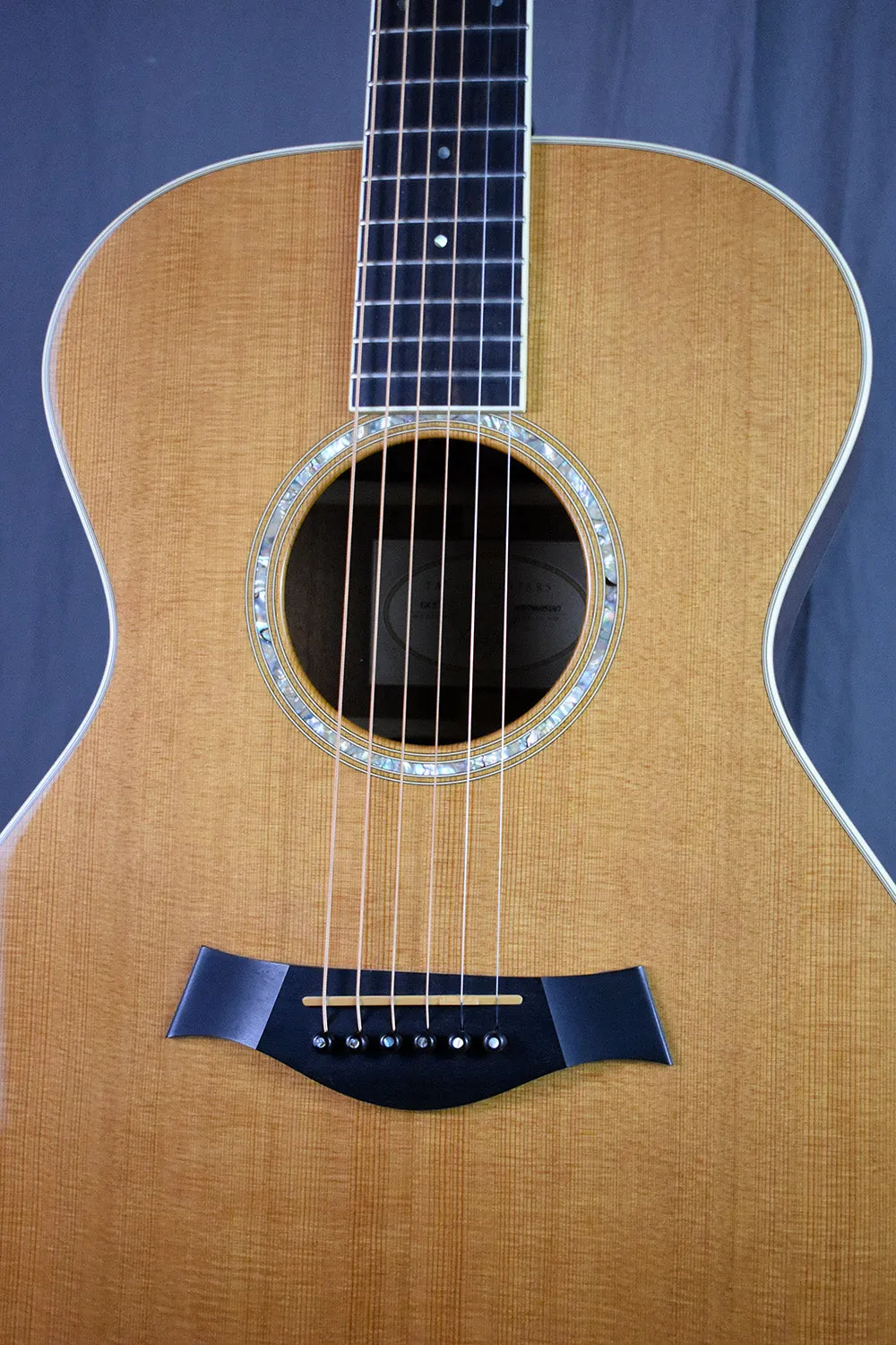 2007 Taylor GC5