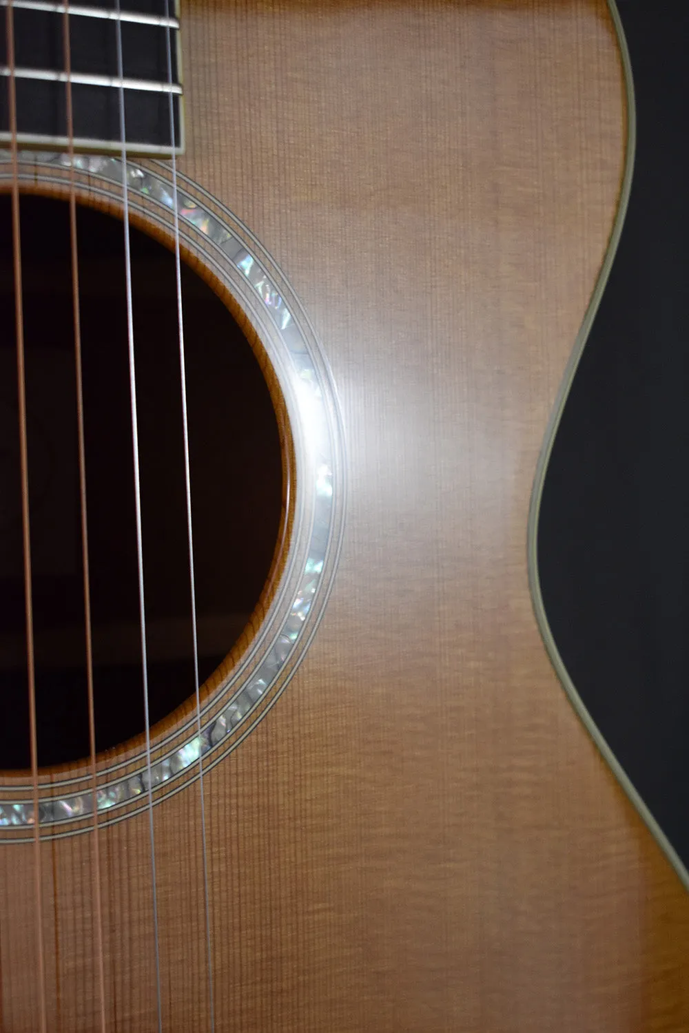 2007 Taylor GC5