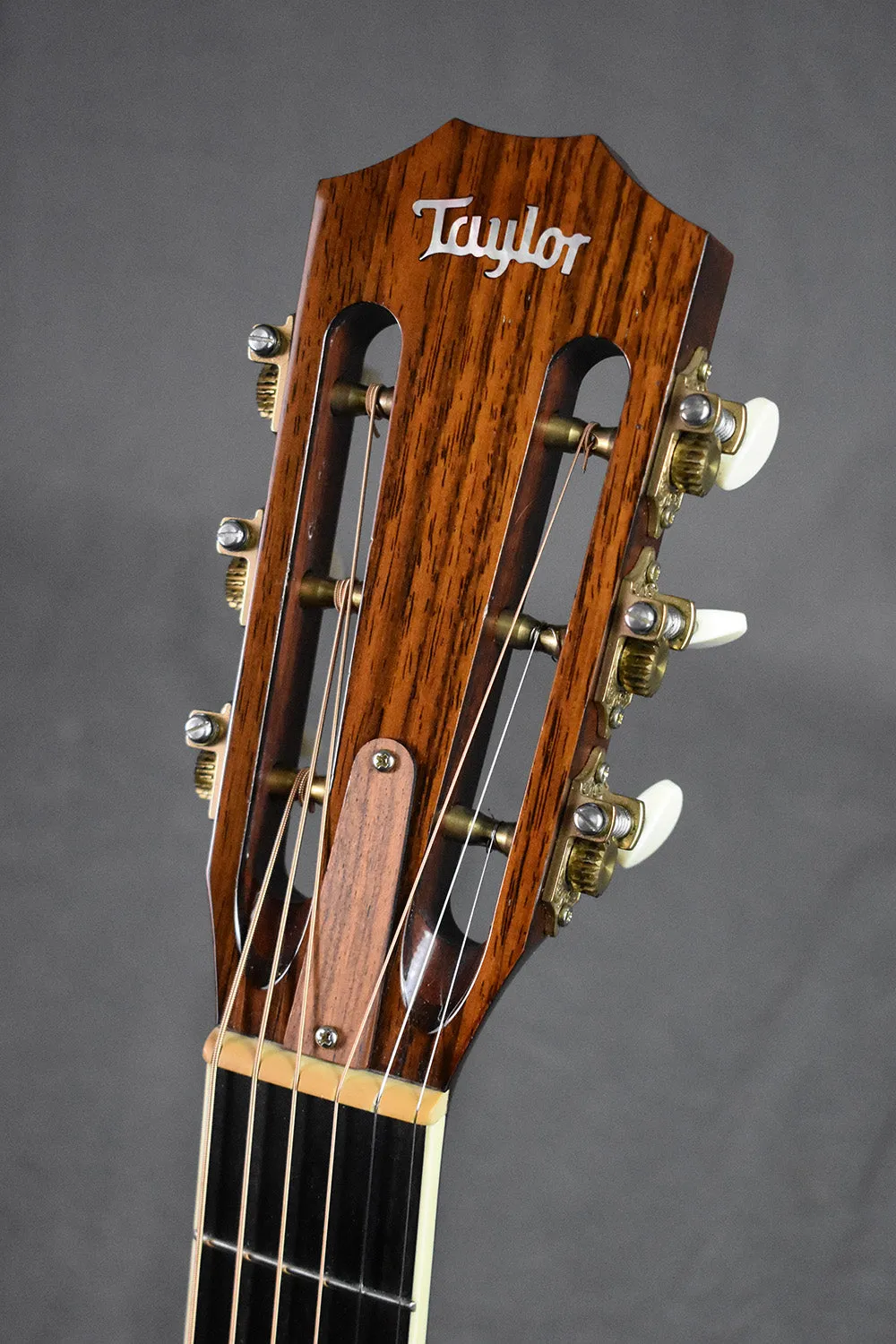 2007 Taylor GC5