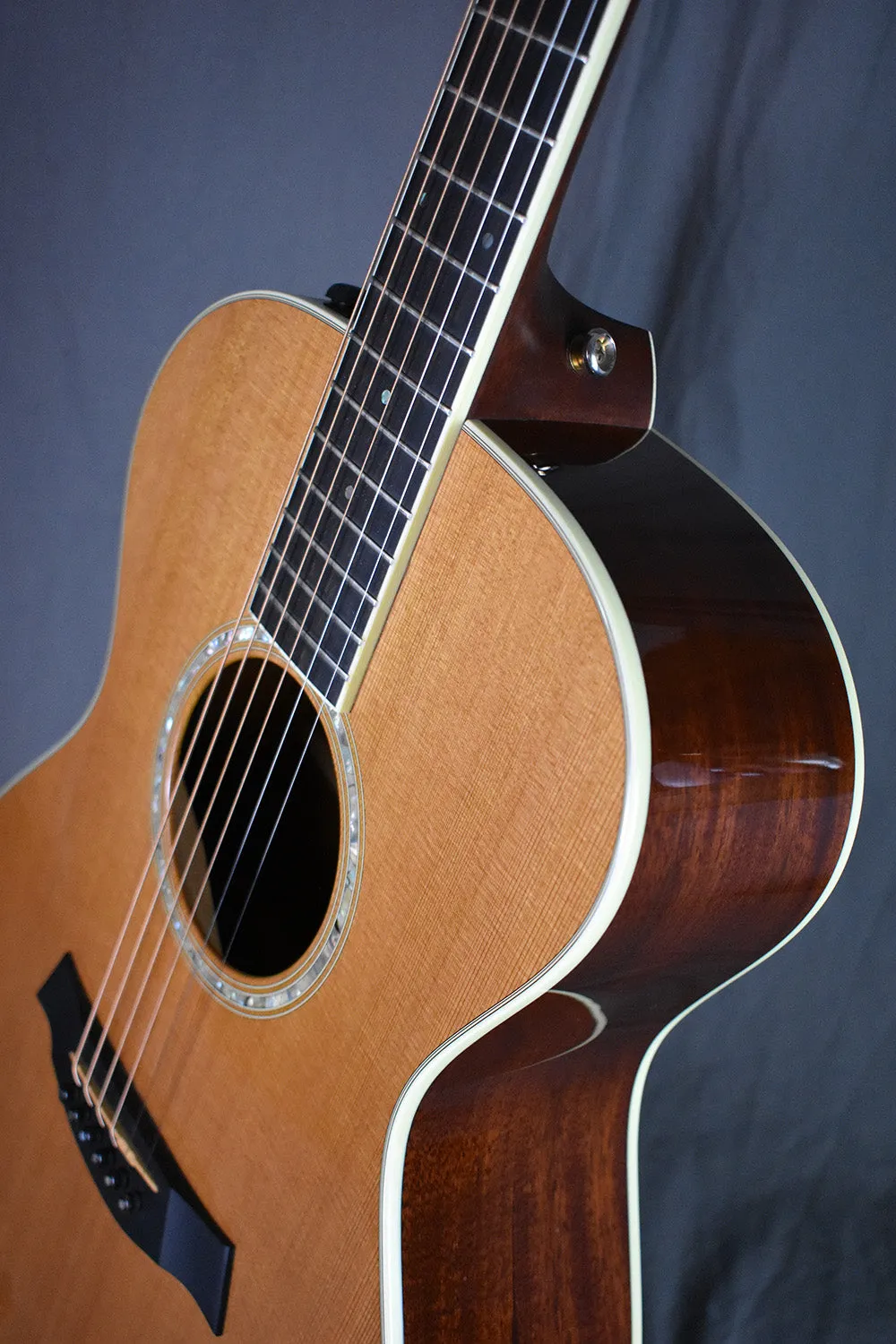 2007 Taylor GC5