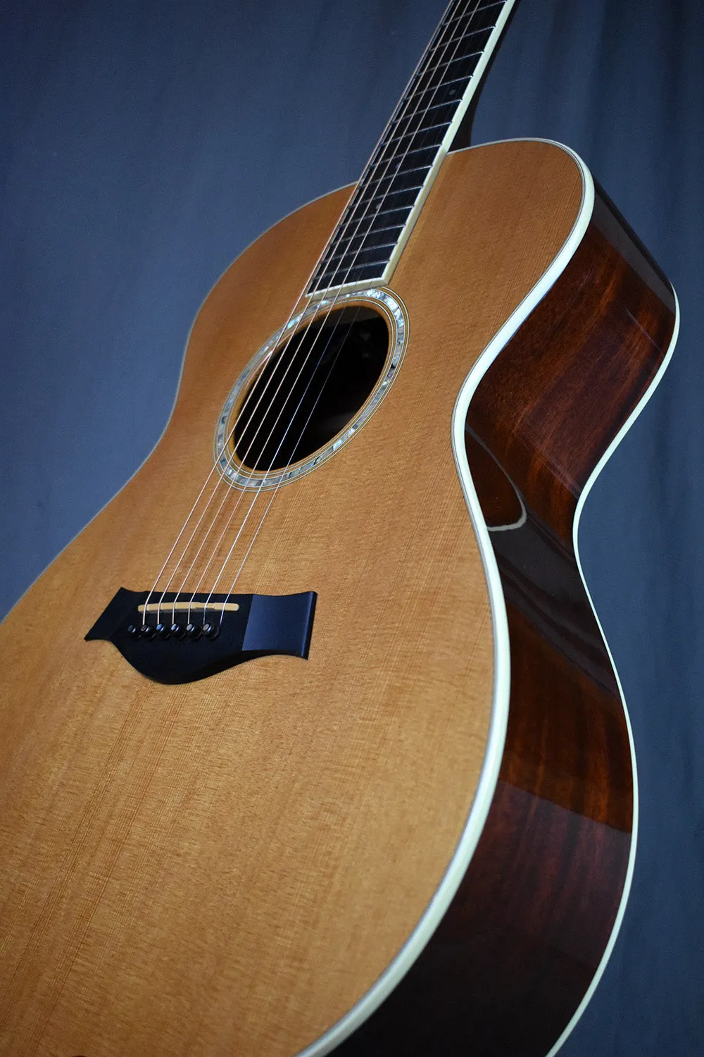 2007 Taylor GC5