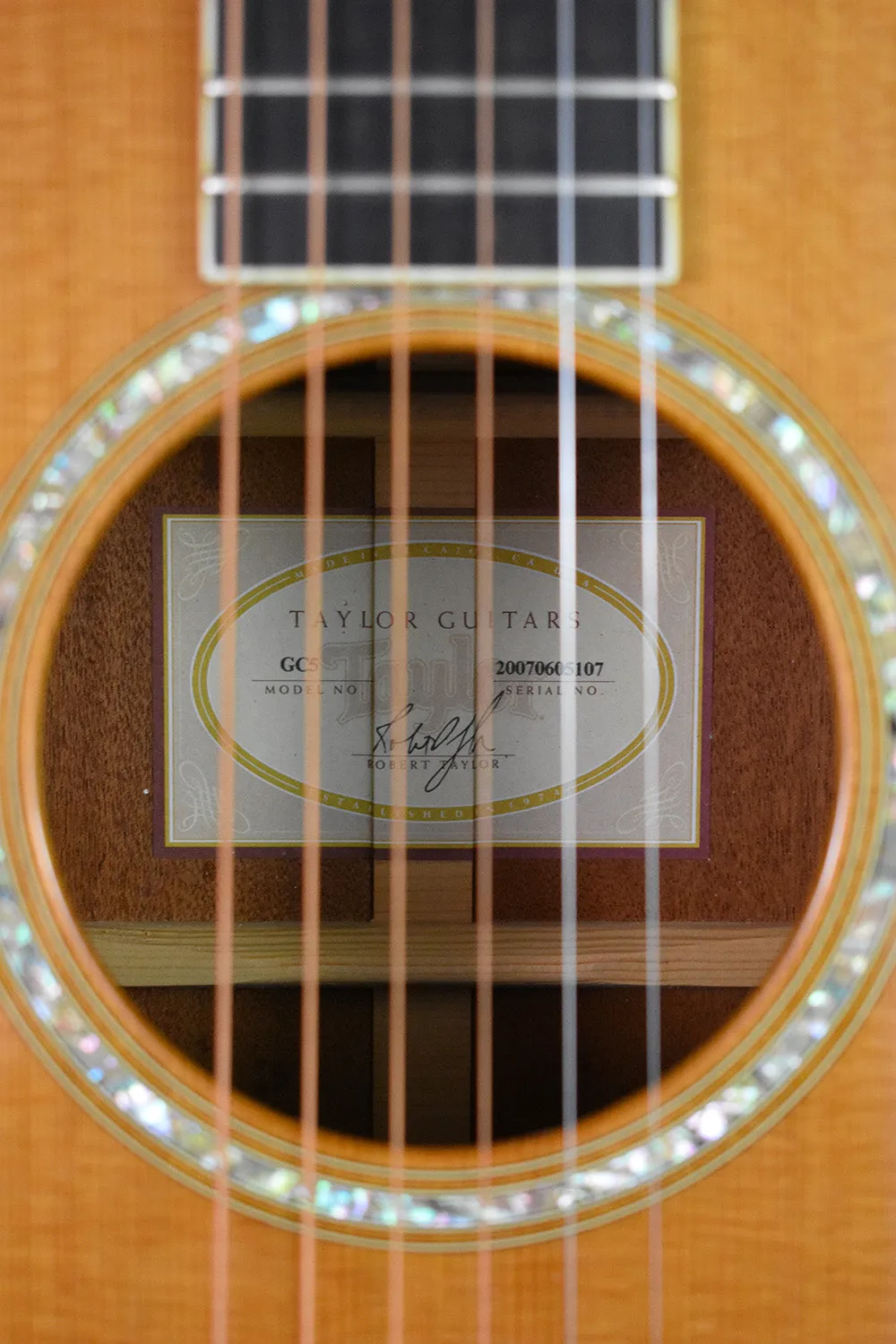 2007 Taylor GC5