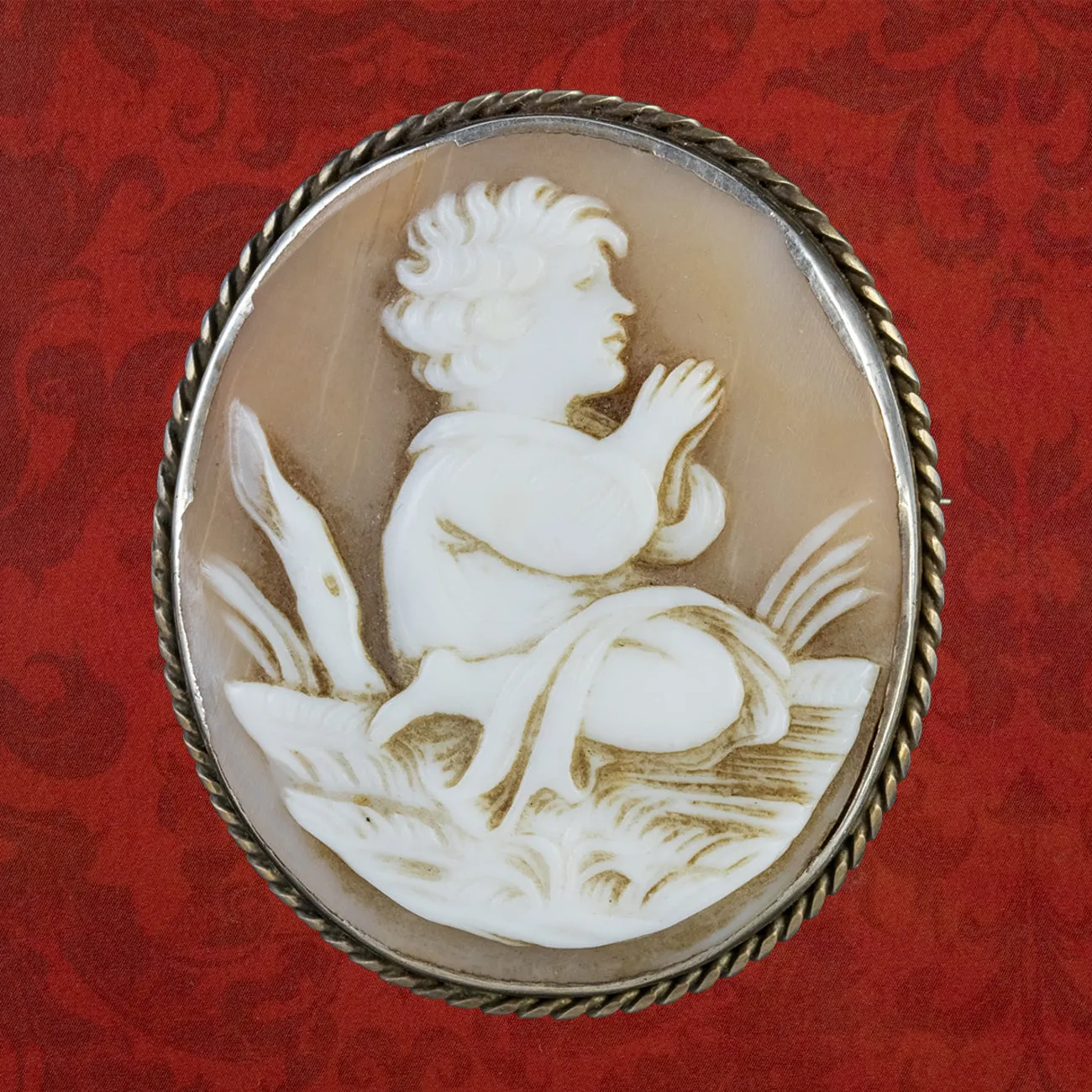 Antique Victorian Bullmouth Shell Cameo Brooch Circa 1860