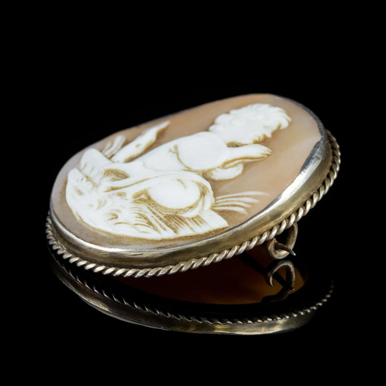Antique Victorian Bullmouth Shell Cameo Brooch Circa 1860