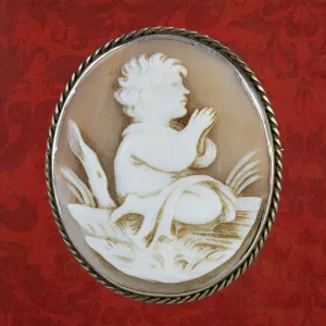 Antique Victorian Bullmouth Shell Cameo Brooch Circa 1860