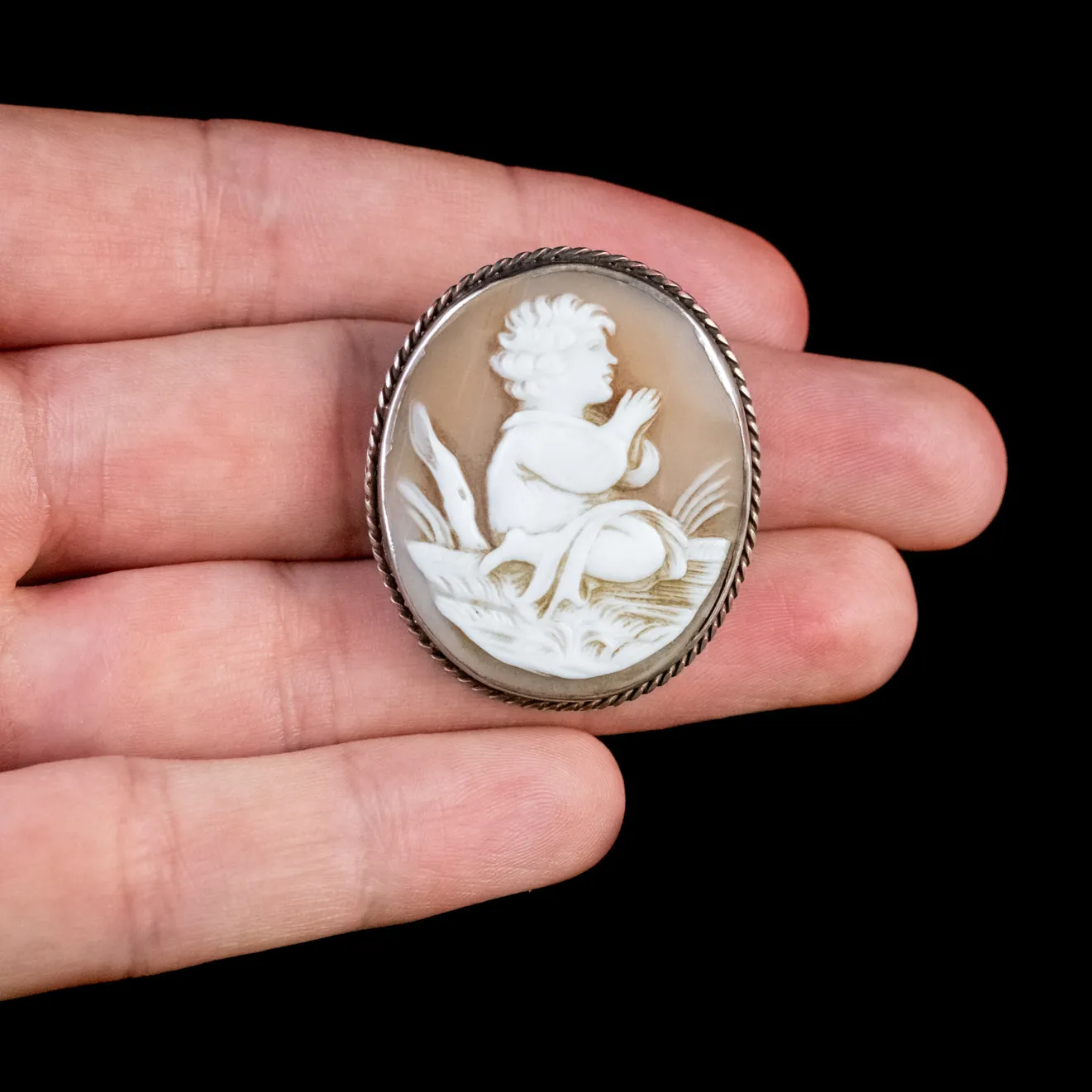 Antique Victorian Bullmouth Shell Cameo Brooch Circa 1860
