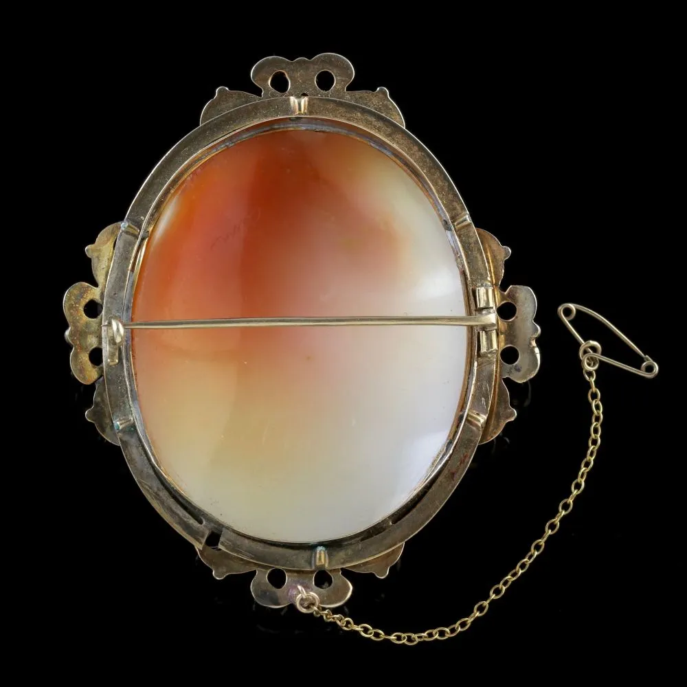 Antique Victorian Cameo Brooch Medusa 15Ct Gold Circa 1860