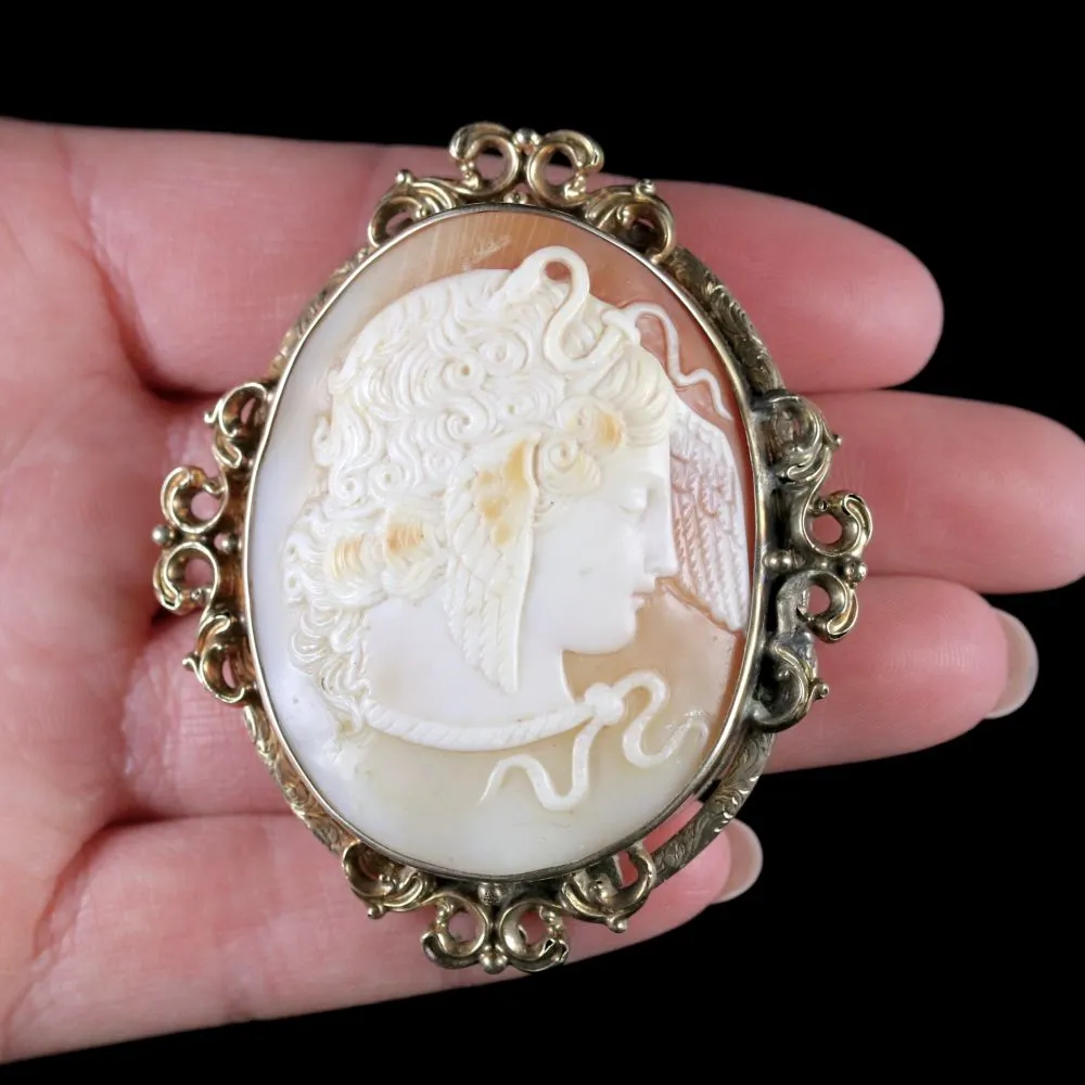 Antique Victorian Cameo Brooch Medusa 15Ct Gold Circa 1860