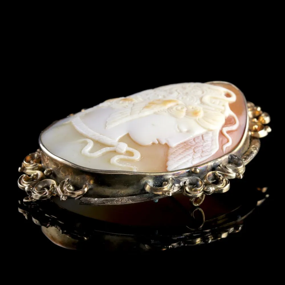 Antique Victorian Cameo Brooch Medusa 15Ct Gold Circa 1860