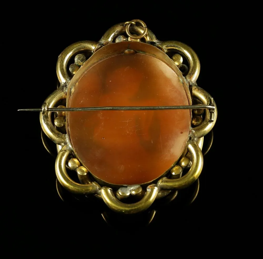 Antique Victorian Cameo Brooch Praying Angel Bullmouth Shell