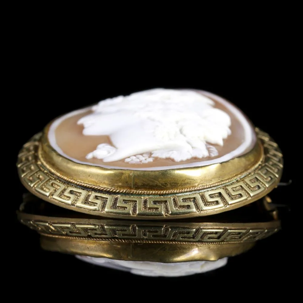 Antique Victorian Cameo Gold Brooch Circa 1860