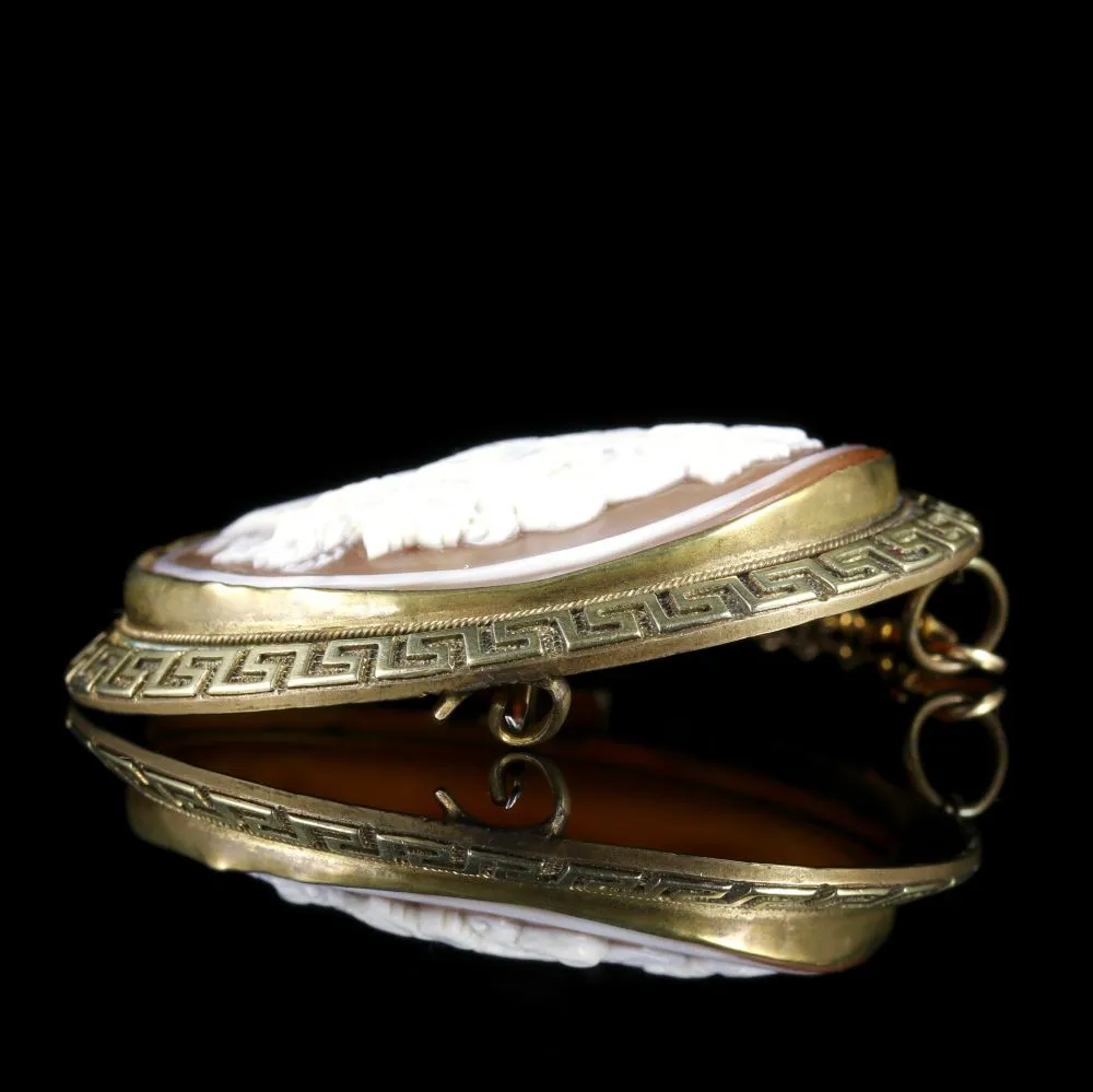 Antique Victorian Cameo Gold Brooch Circa 1860