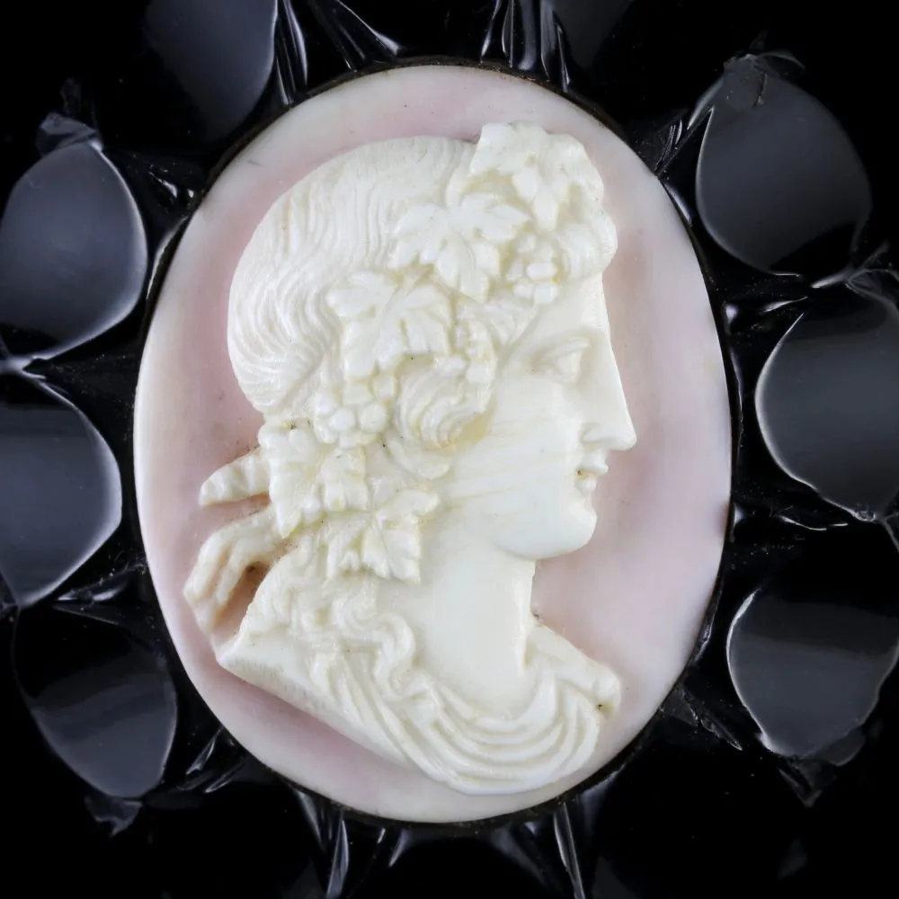 Antique Victorian Jet Coral Cameo Brooch Circa 1870